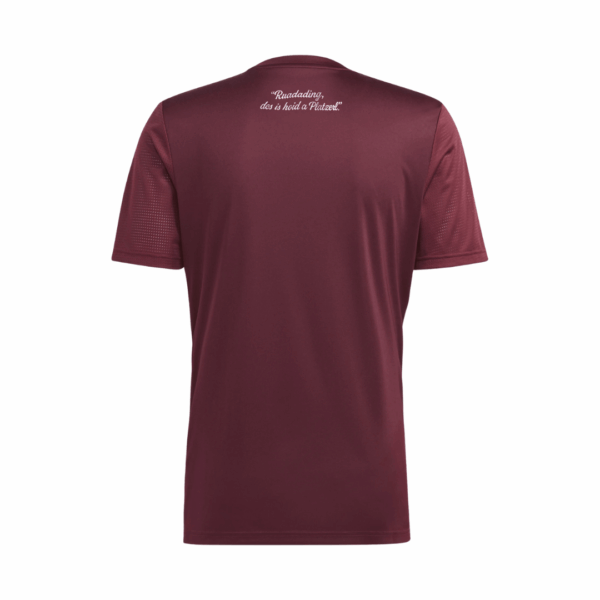 adidas TABELA 23 JSY Trikot weinrot (AH) – Bild 2